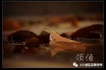 微信圖片_20180313103529.jpg